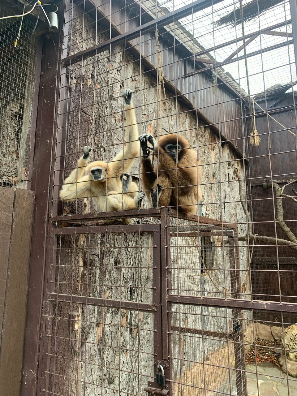 Гостиница Премьер Голубицкая-42