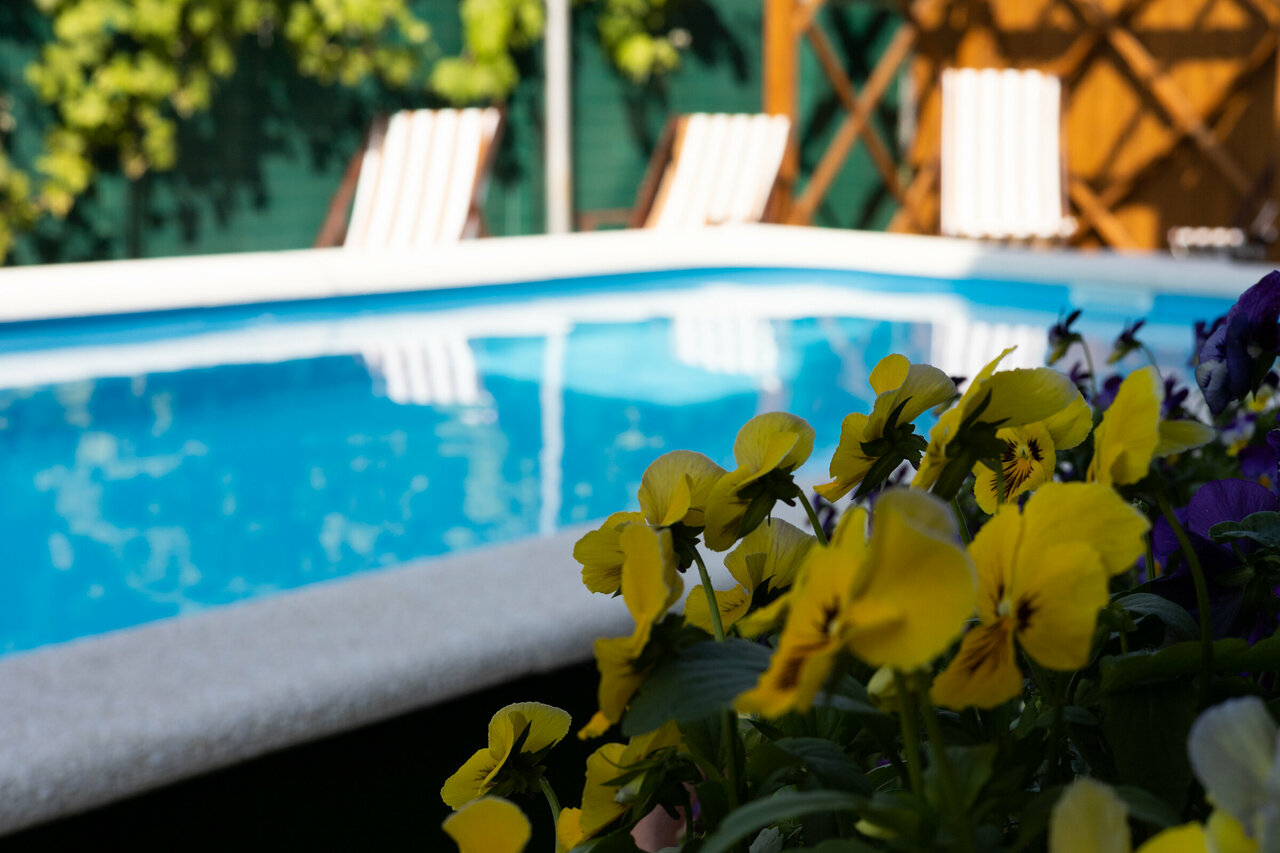 Гостиница Премьер Голубицкая-13