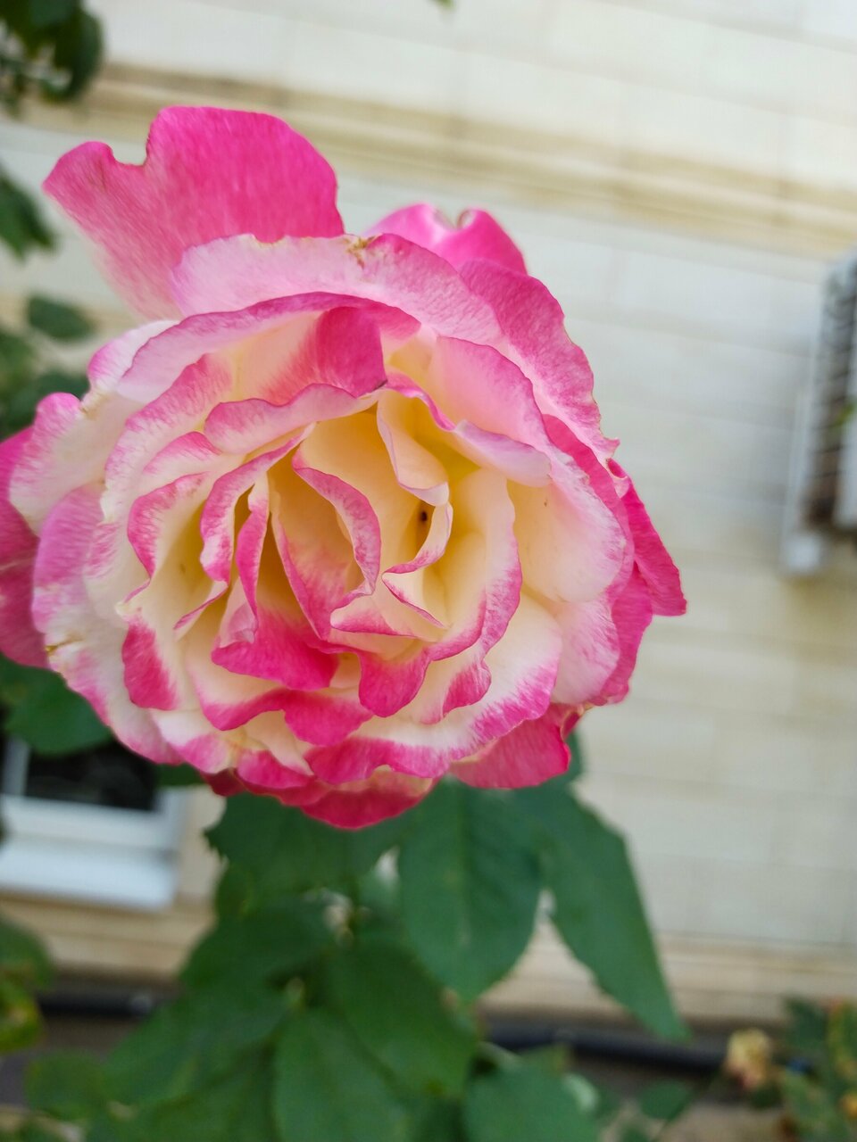 Гостиница Премьер Голубицкая-110