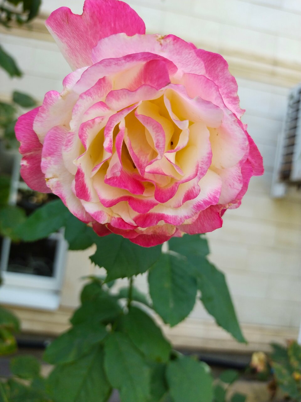 Гостиница Премьер Голубицкая-48