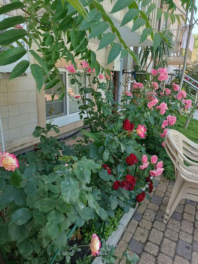 Гостиница Премьер Голубицкая-70